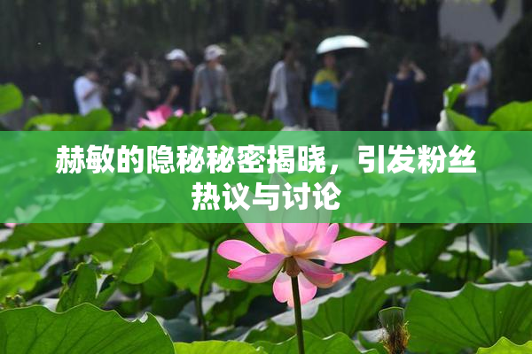 赫敏的隐秘秘密揭晓，引发粉丝热议与讨论