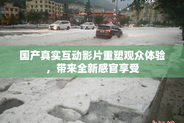 国产真实互动影片重塑观众体验，带来全新感官享受