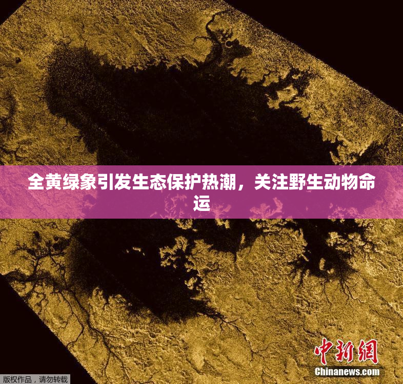 全黄绿象引发生态保护热潮，关注野生动物命运