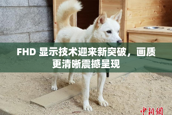 FHD 显示技术迎来新突破，画质更清晰震撼呈现