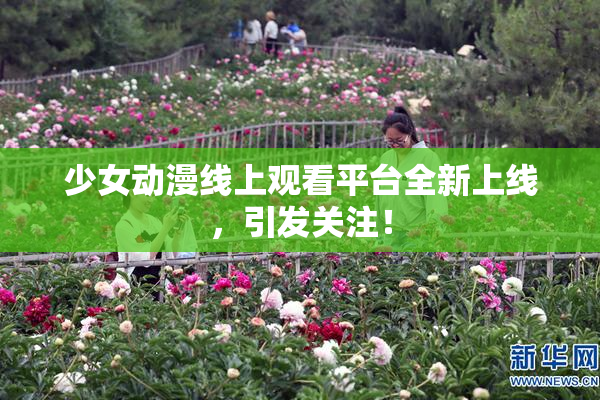 少女动漫线上观看平台全新上线，引发关注！