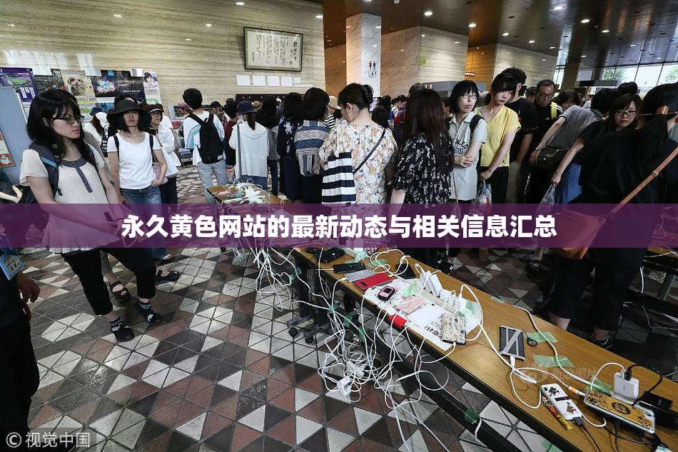 永久黄色网站的最新动态与相关信息汇总