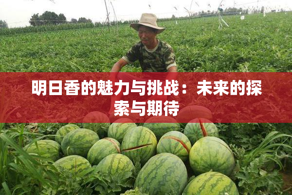 明日香的魅力与挑战：未来的探索与期待
