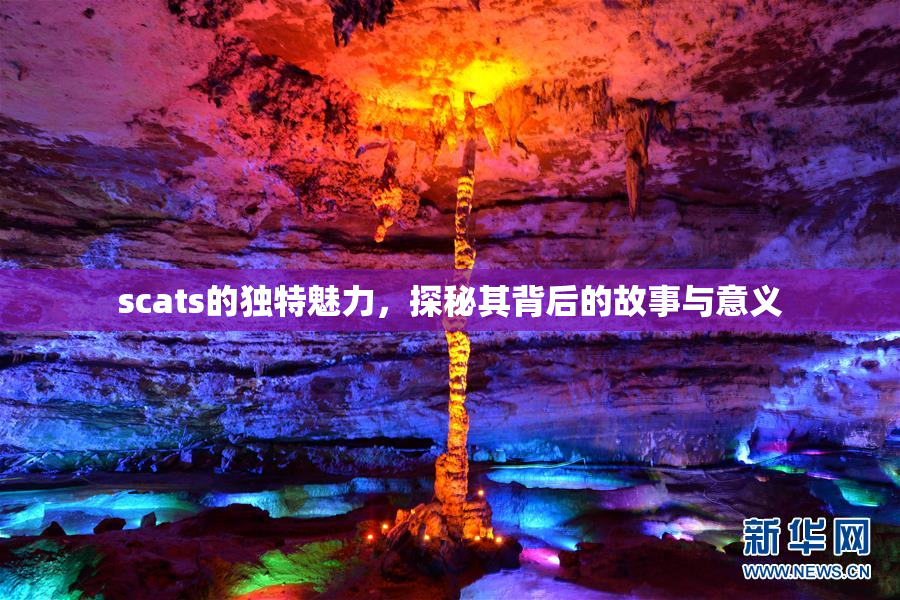 scats的独特魅力，探秘其背后的故事与意义