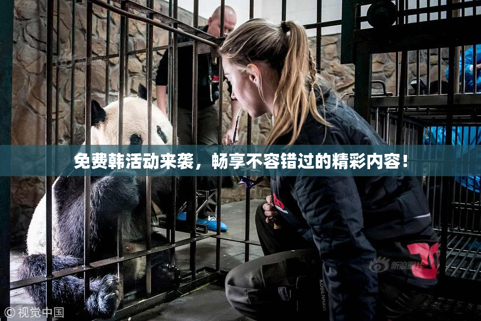 免费韩活动来袭，畅享不容错过的精彩内容！