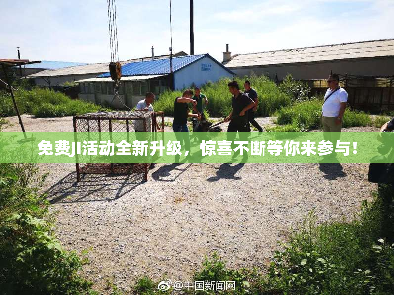 免费JI活动全新升级，惊喜不断等你来参与！