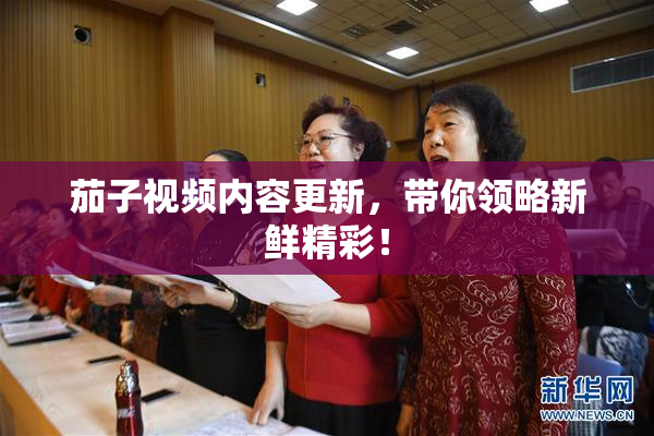 茄子视频内容更新，带你领略新鲜精彩！