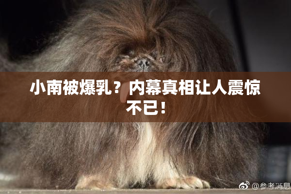 小南被爆乳？内幕真相让人震惊不已！