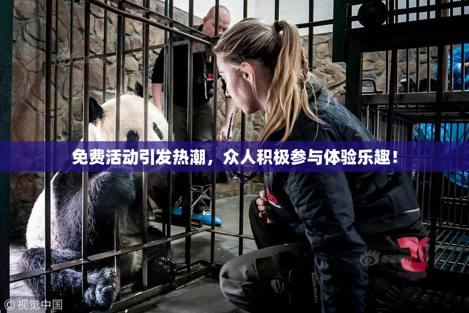 免费活动引发热潮，众人积极参与体验乐趣！