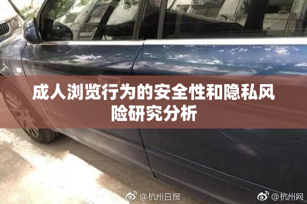 成人浏览行为的安全性和隐私风险研究分析
