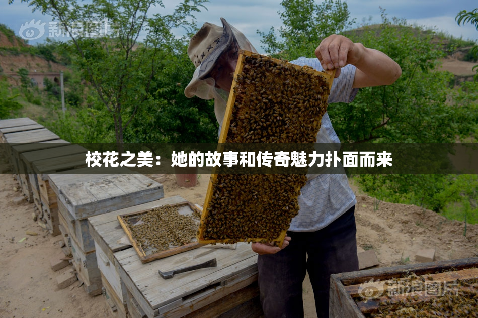 校花之美：她的故事和传奇魅力扑面而来