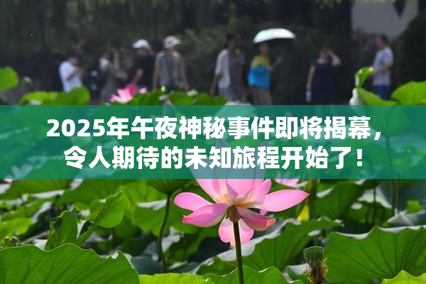 2025年午夜神秘事件即将揭幕，令人期待的未知旅程开始了！