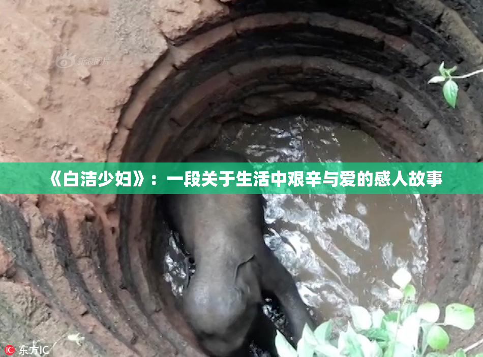 《白洁少妇》：一段关于生活中艰辛与爱的感人故事