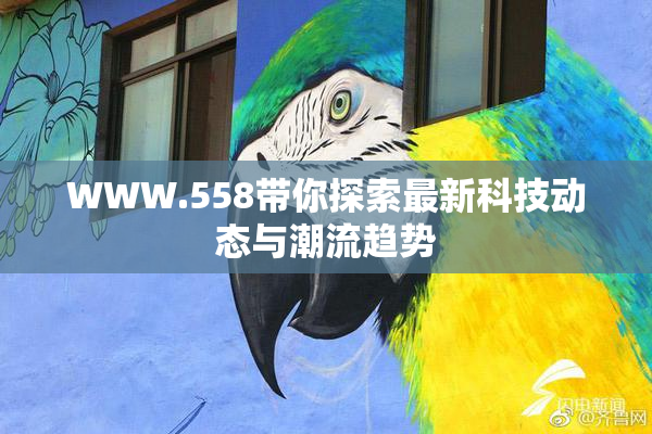 WWW.558带你探索最新科技动态与潮流趋势