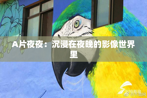 A片夜夜：沉浸在夜晚的影像世界里