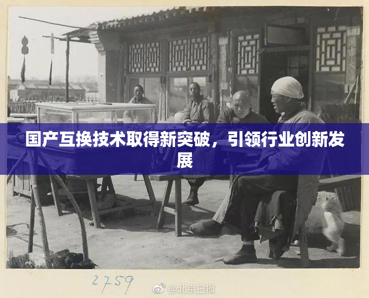 国产互换技术取得新突破，引领行业创新发展