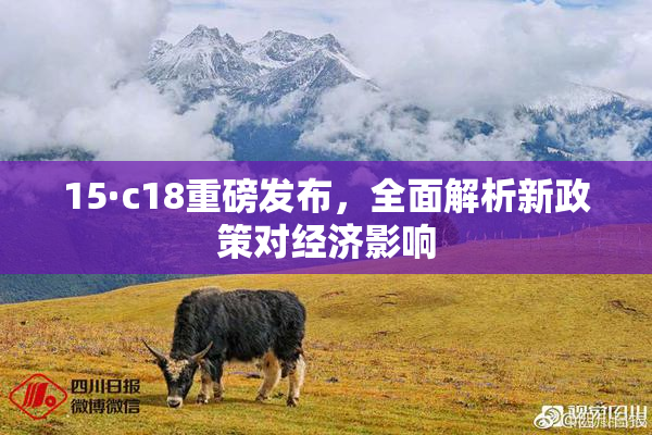15·c18重磅发布，全面解析新政策对经济影响