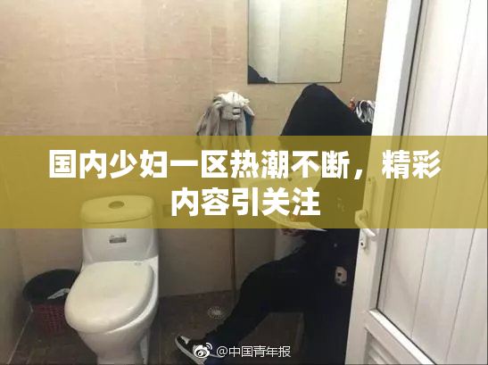 国内少妇一区热潮不断，精彩内容引关注