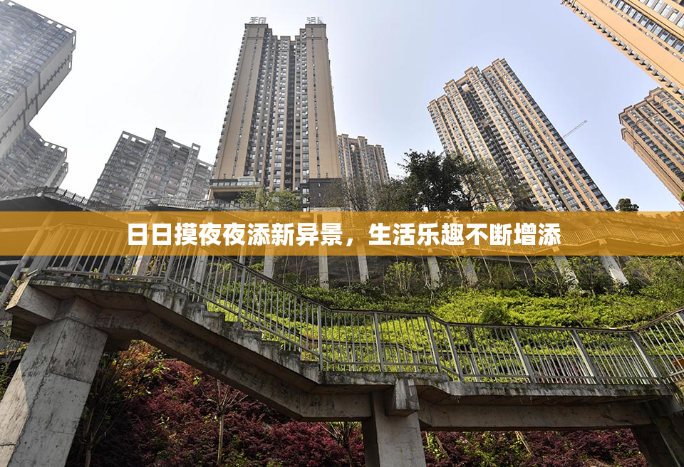 日日摸夜夜添新异景，生活乐趣不断增添