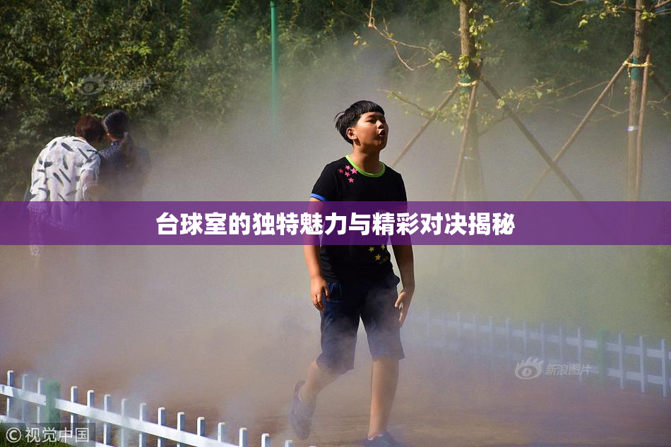 台球室的独特魅力与精彩对决揭秘