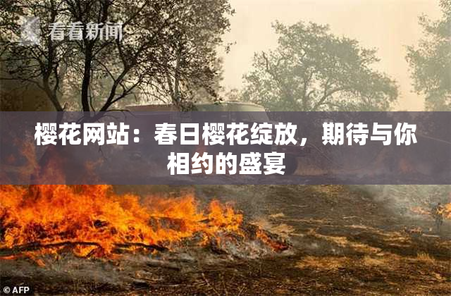 樱花网站：春日樱花绽放，期待与你相约的盛宴