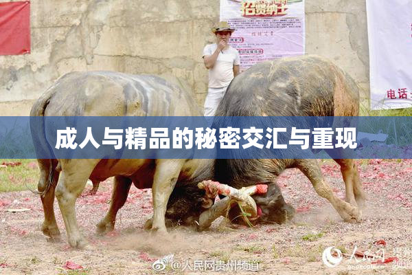 成人与精品的秘密交汇与重现