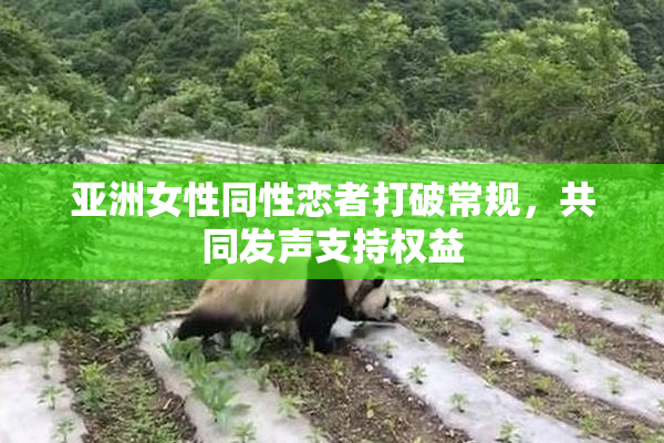亚洲女性同性恋者打破常规，共同发声支持权益