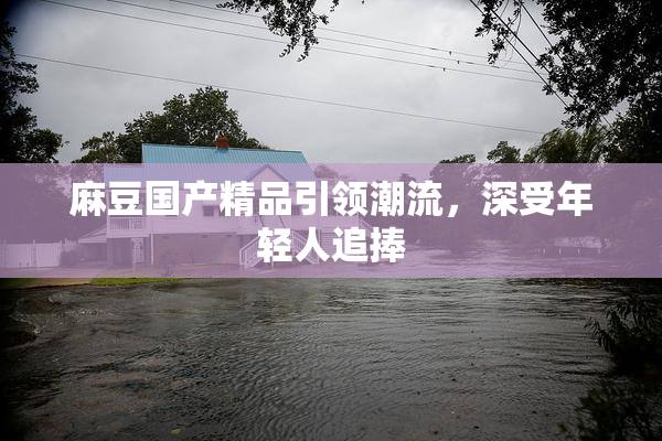 麻豆国产精品引领潮流，深受年轻人追捧