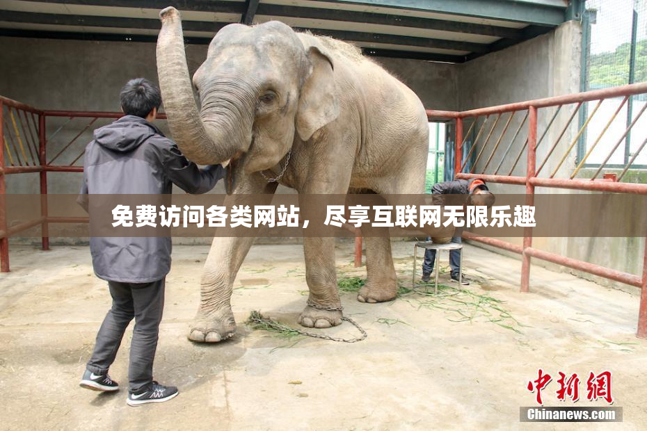 免费访问各类网站，尽享互联网无限乐趣