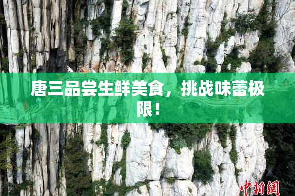 唐三品尝生鲜美食，挑战味蕾极限！