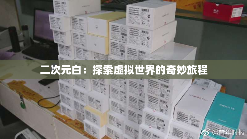 二次元白：探索虚拟世界的奇妙旅程