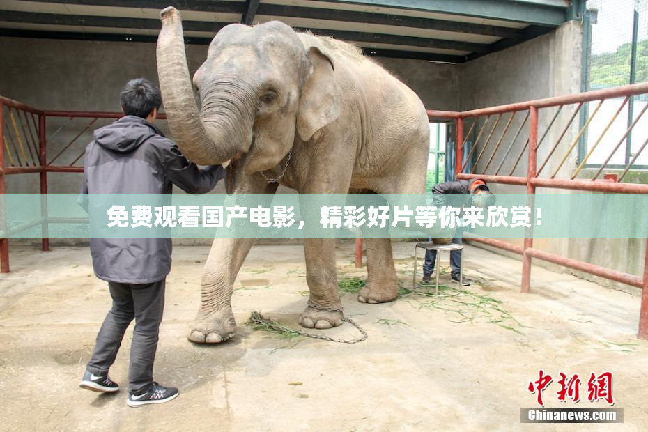 免费观看国产电影，精彩好片等你来欣赏！
