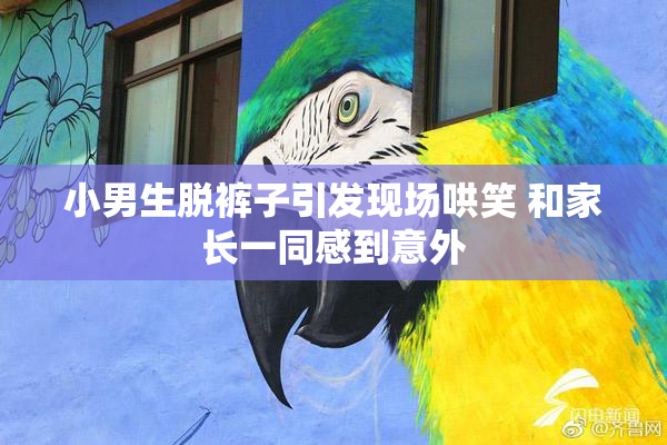 小男生脱裤子引发现场哄笑 和家长一同感到意外