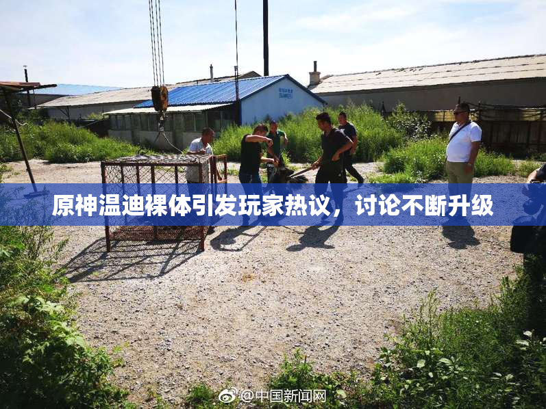 原神温迪裸体引发玩家热议，讨论不断升级