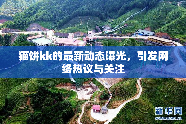猫饼kk的最新动态曝光，引发网络热议与关注