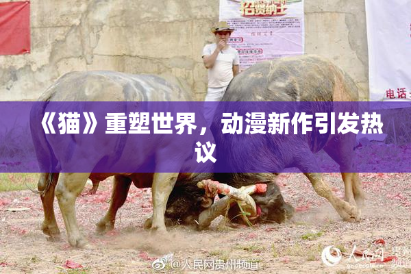 《猫》重塑世界，动漫新作引发热议