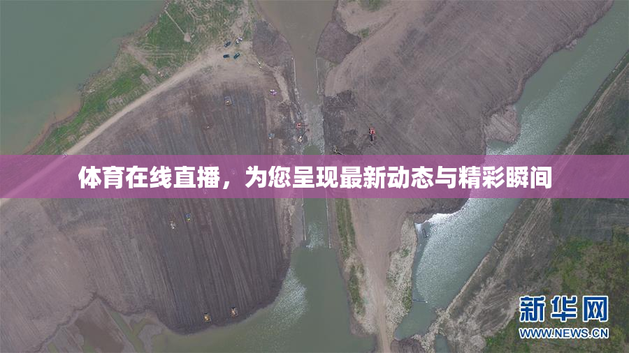 体育在线直播，为您呈现最新动态与精彩瞬间