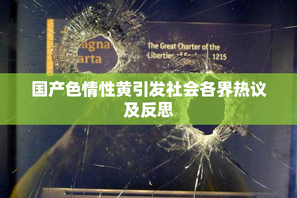 国产色情性黄引发社会各界热议及反思