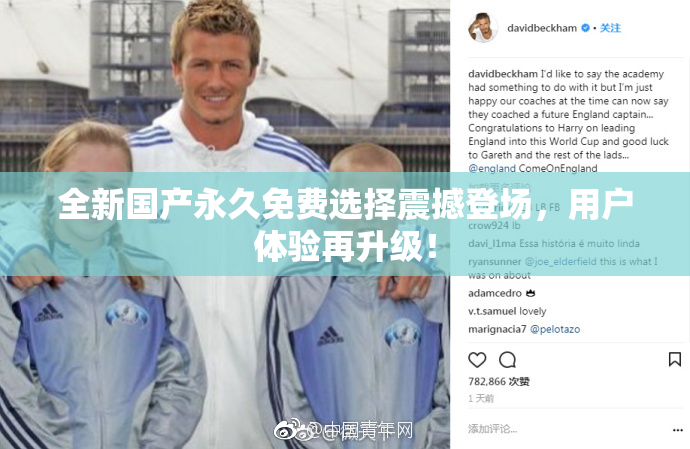 全新国产永久免费选择震撼登场，用户体验再升级！