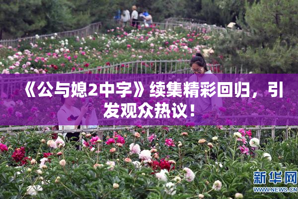 《公与媳2中字》续集精彩回归，引发观众热议！