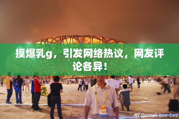 摸爆乳g，引发网络热议，网友评论各异！