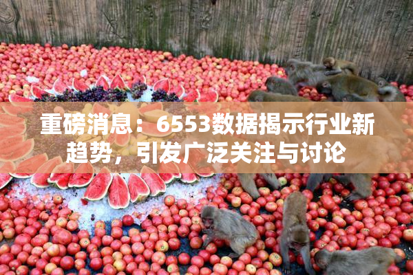 重磅消息：6553数据揭示行业新趋势，引发广泛关注与讨论