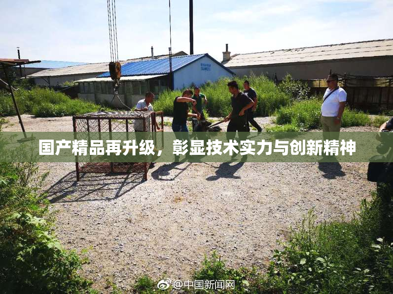 国产精品再升级，彰显技术实力与创新精神