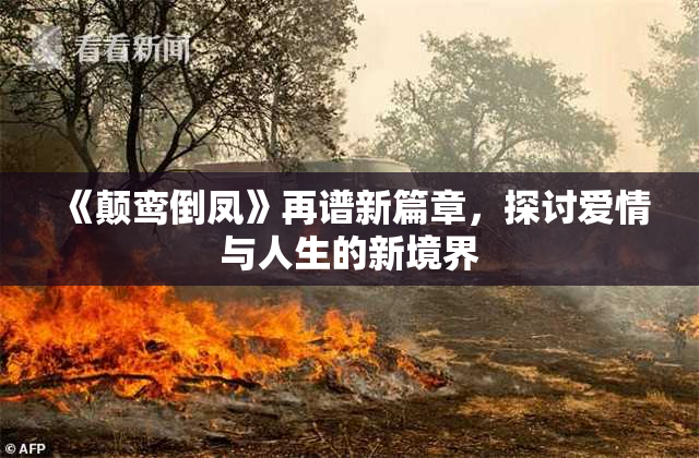 《颠鸾倒凤》再谱新篇章，探讨爱情与人生的新境界