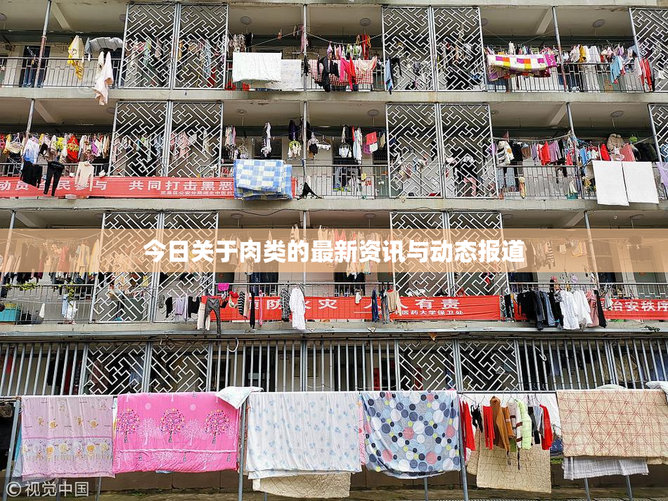 今日关于肉类的最新资讯与动态报道