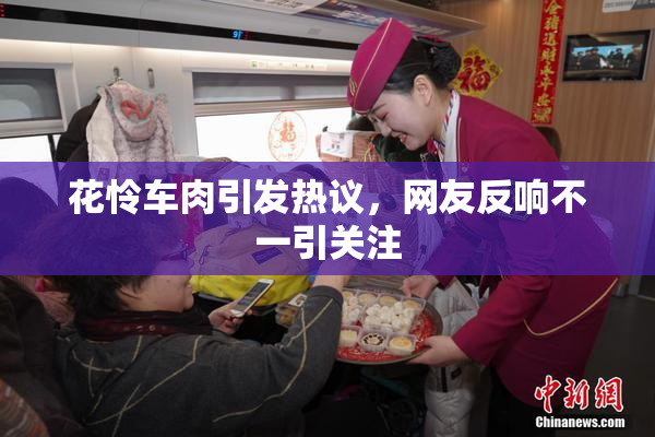 花怜车肉引发热议，网友反响不一引关注