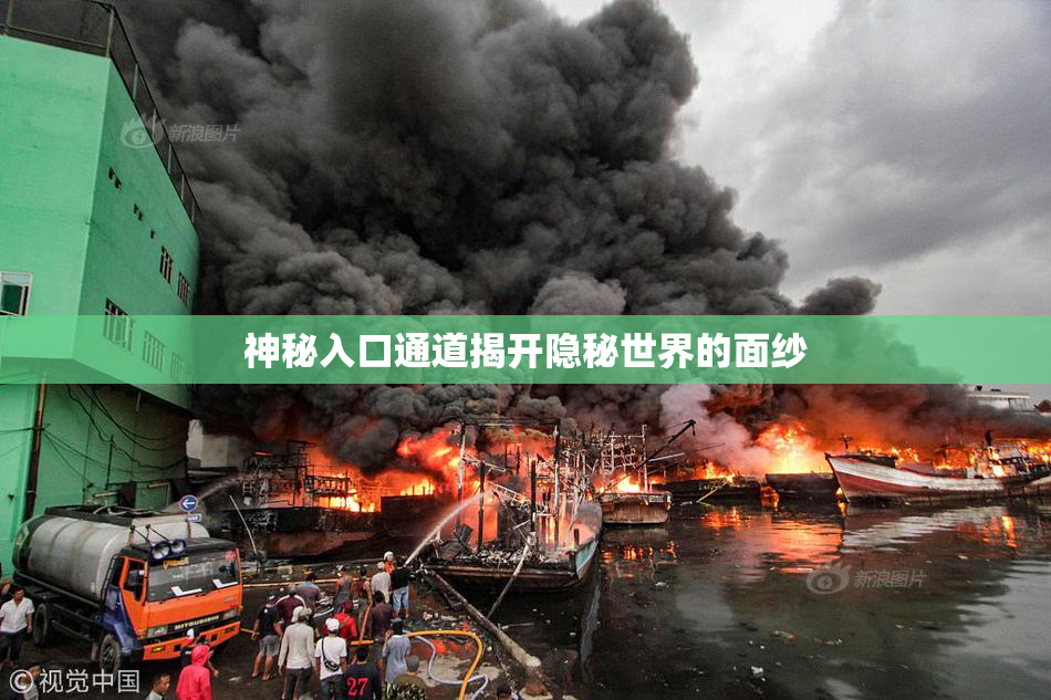 神秘入口通道揭开隐秘世界的面纱