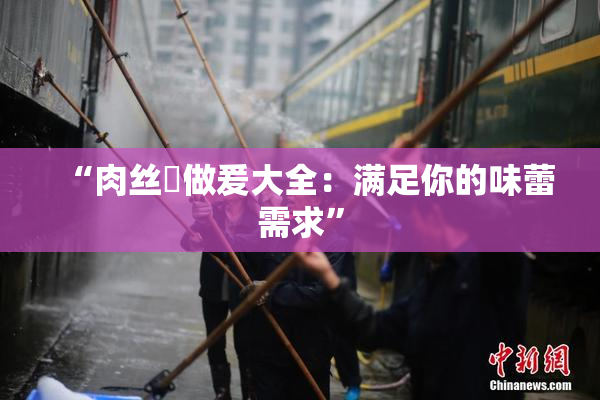 “肉丝祙做爰大全：满足你的味蕾需求”