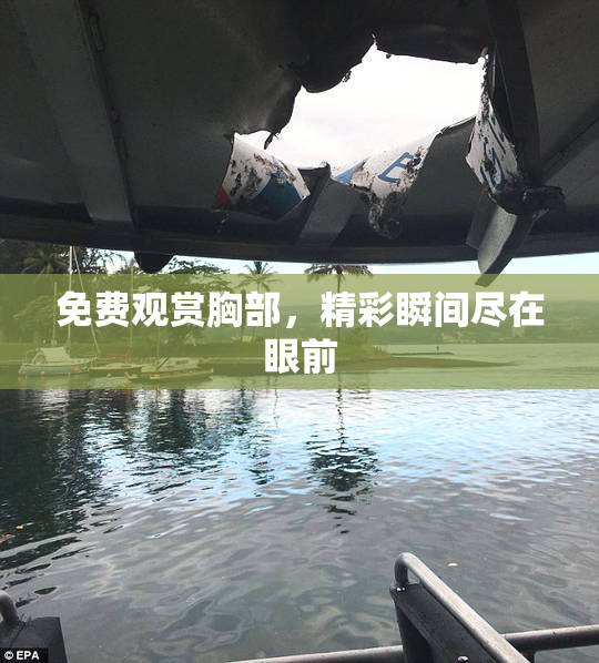 免费观赏胸部，精彩瞬间尽在眼前