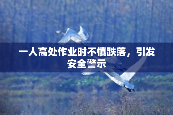 一人高处作业时不慎跌落，引发安全警示
